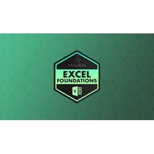 Maven Analytics – Microsoft Excel Foundations 2025-10