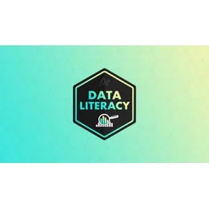 Maven Analytics – Data Literacy Foundations 2025-10