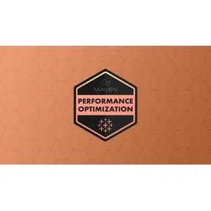 Maven Analytics – Tableau Speed & Performance 2025-10