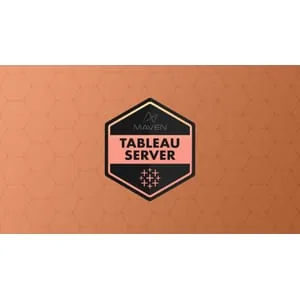 Maven Analytics – Tableau Server for Analysts 2025-10
