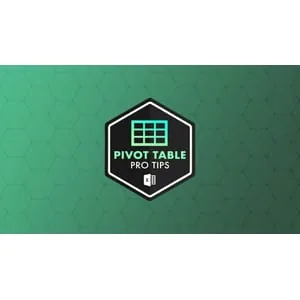 Maven Analytics – Excel Pro Tips: Pivot Tables 2025-10