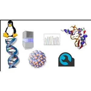 Udemy – Bioinformatics: Learn NGS Data Analysis From Scratch 2025-6