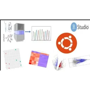 Udemy – Bioinformatic; Learn Bulk RNA-Seq Data Analysis From Scratch 2025-5