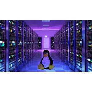 Udemy – Mastering Linux Automation with Shell Scripts 2025-3