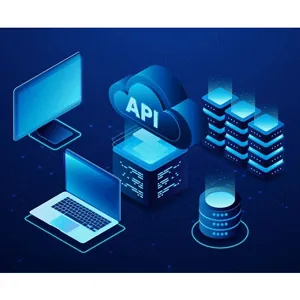 Udemy – API Mastery: Understand, Create and Monetize Your Own API 2025-7
