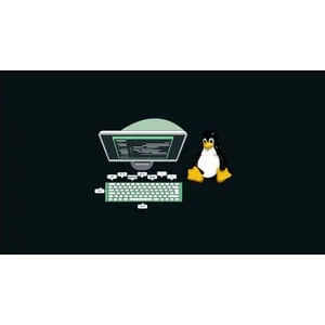 Udemy – Bash Shell Scripting: Automate the Boring Stuff with Bash 2024-3