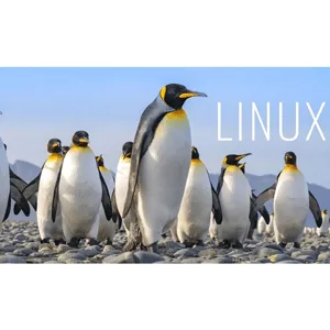 Udemy – The complete Linux course you need to land a job in IT 2025-9