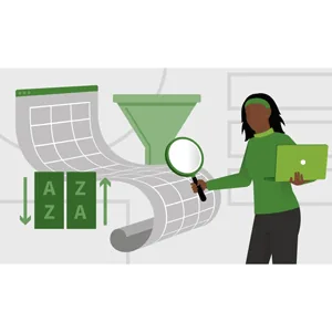 LinkedIn – Excel: Managing and Analyzing Data 2025-4