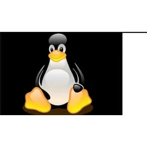 Udemy – Prepare for RHCSA Exam with Practice Course(EX200-RHEL 10) 2025-11