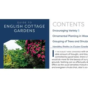 LinkedIn – InDesign to EPUB: Creating Ebooks 2023-9
