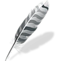 Wing IDE Pro 12.0.1.0 Windows/Linux/macOS