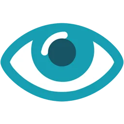 CareUEyes Pro 2.6.0
