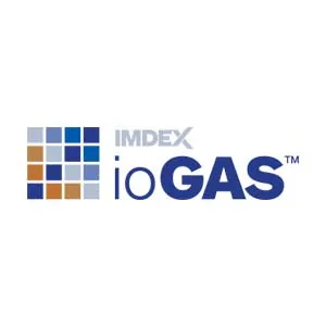 ioAnalytics ioGAS v8.3.1.300231