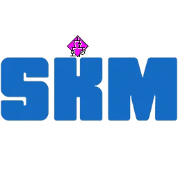 SKM Power*Tools 10.0
