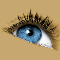 Sante DICOM Viewer Pro 14.4.1